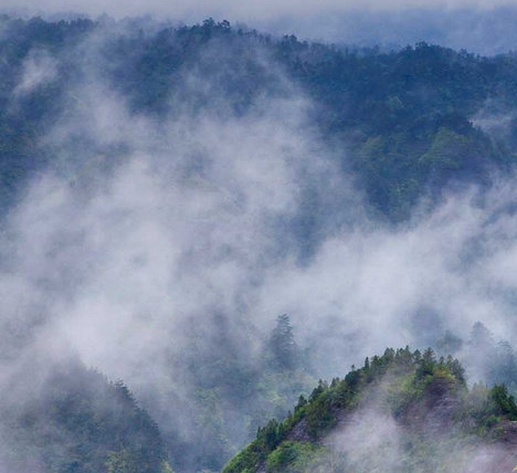粉象生活下载官方正版