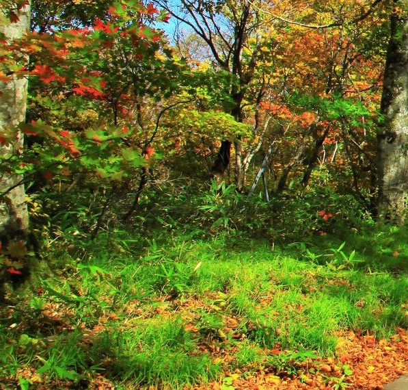 粉象生活买的东西订单可以退款吗