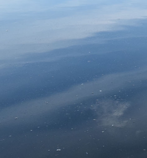 粉象生活能发布商品吗