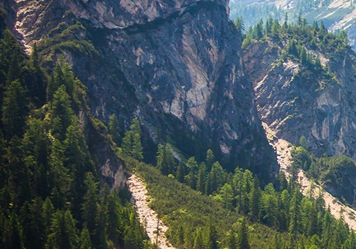 粉象生活几百万粉丝