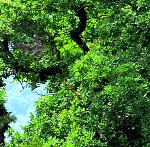 粉象生活粉丝怎么增加