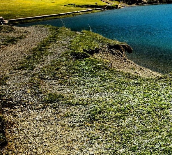 粉象生活是什么?