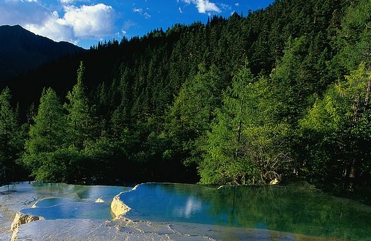 有比粉象生活好的app