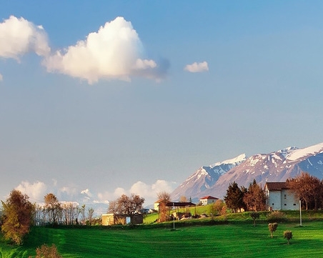 粉象生活是什么?