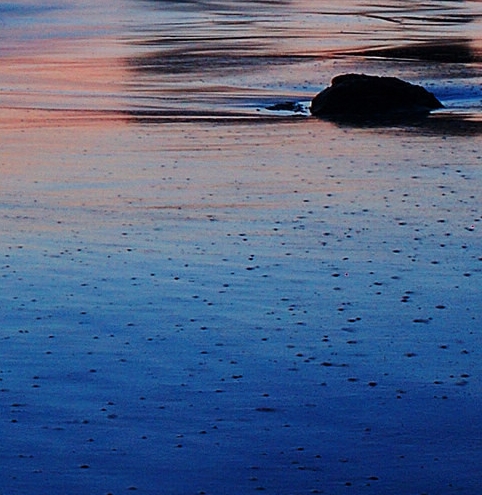 粉象生活是什么软件?能赚钱吗