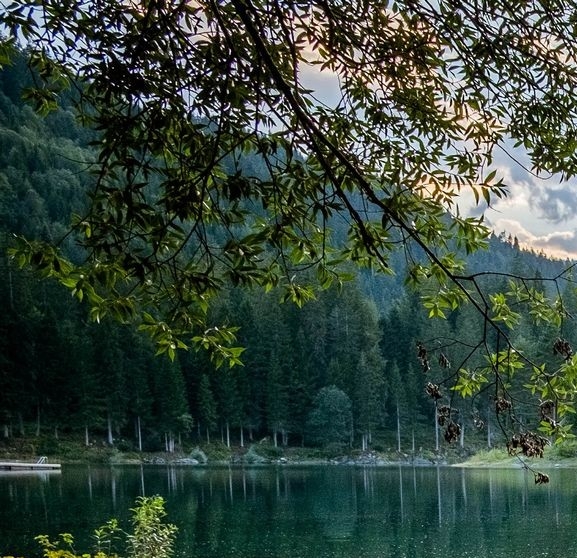 粉象生活下载app