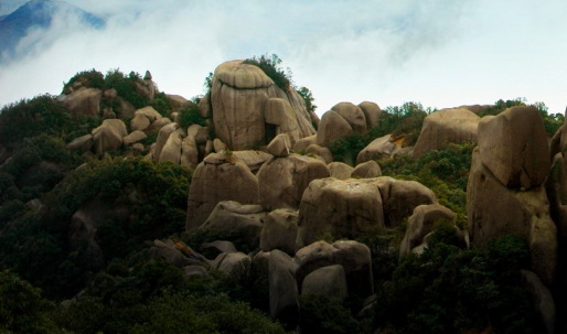 粉象生活邀请码填谁的,谁就可以赚钱吗