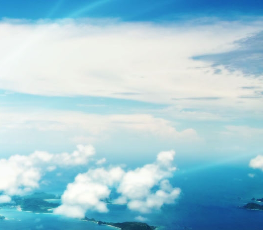 下载粉象app下载