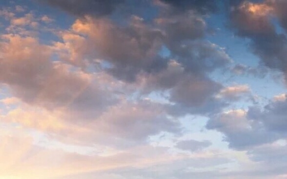 粉象生活怎么赚钱