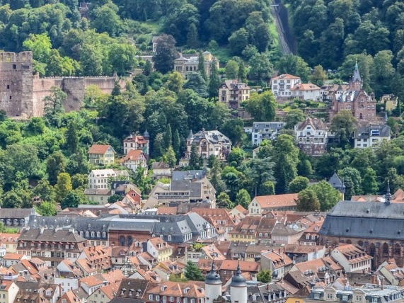 粉象生活能赚钱吗