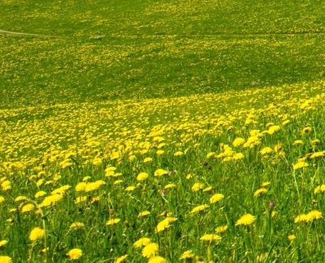 粉象生活下载注册