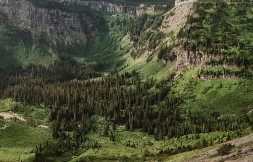 粉象生活是做什么的