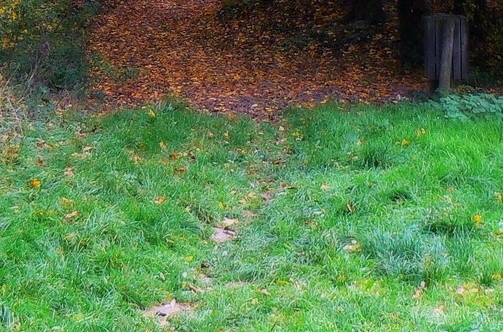 粉象生活怎么推广粉丝