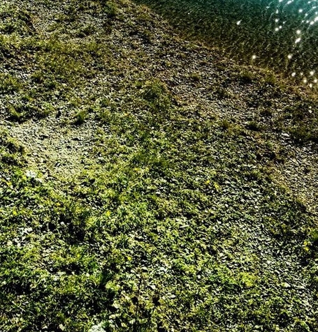 粉象啤酒哪个口味好喝