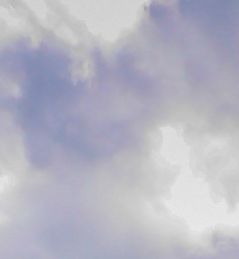 粉象生活怎么样才有粉丝