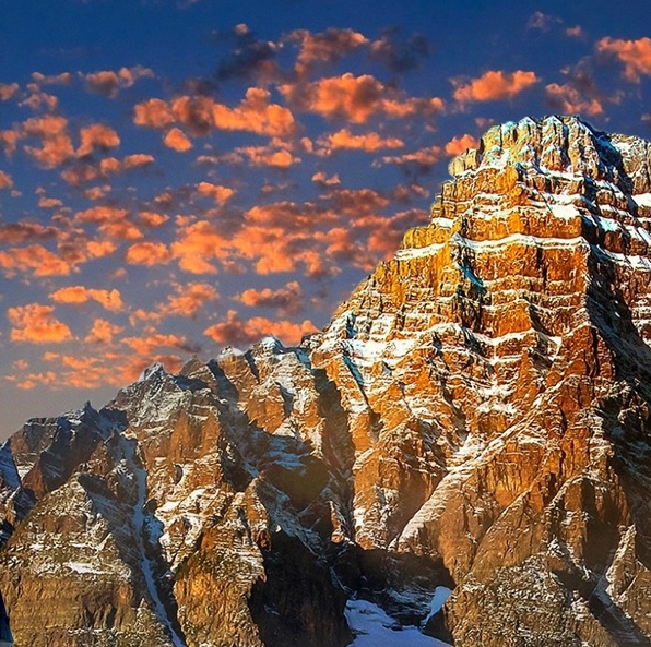 粉象生活怎么赚钱