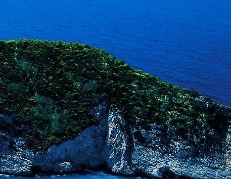 粉象生活是什么样的平台
