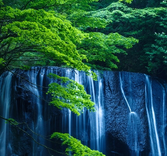 粉象生活赚佣金是真的吗