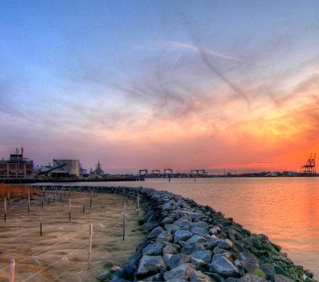 粉象生活下载app