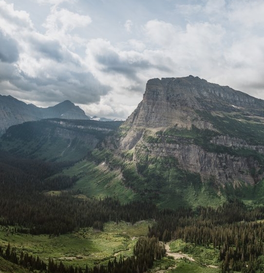 腾讯视频粉象生活