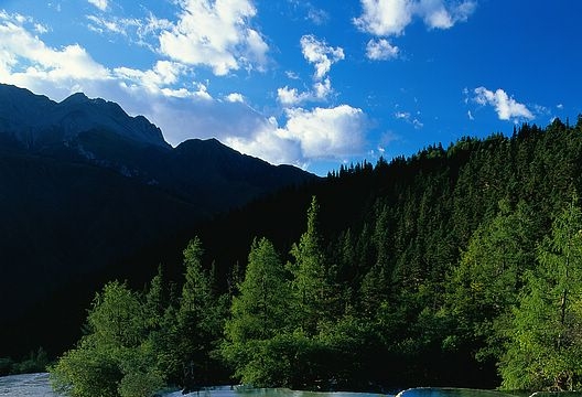 粉象生活的积分有什么用