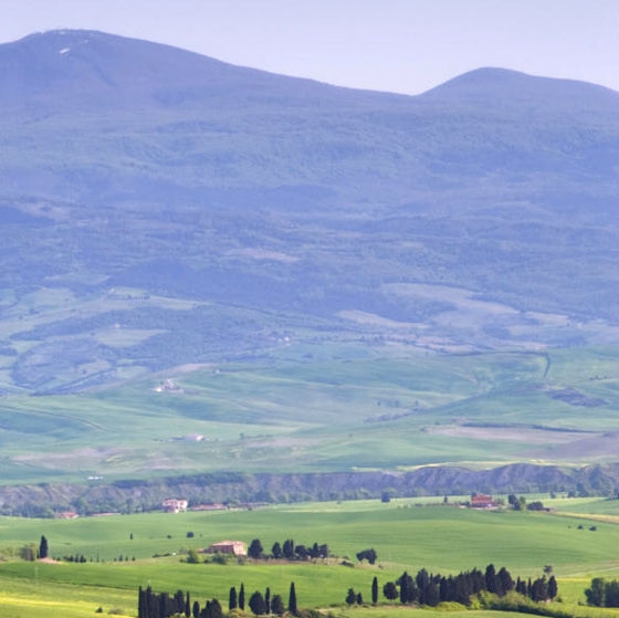 浙江口碑粉象生活软件