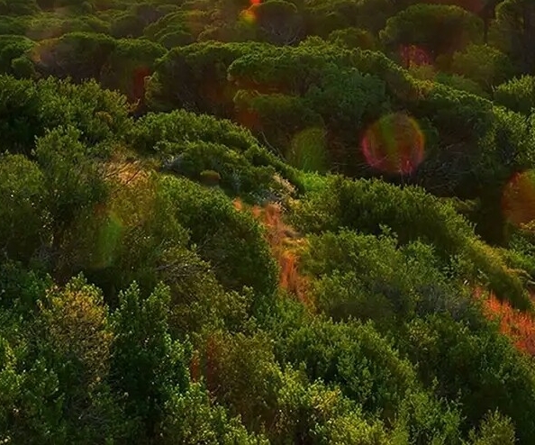 粉象生活怎么赚钱