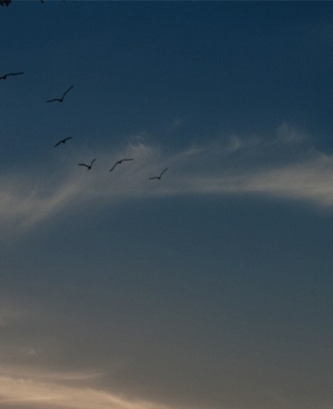 粉象生活真的能挣钱吗