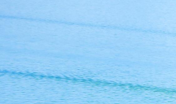 京东上的粉象生活靠谱吗