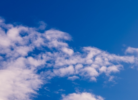 粉象生活可以赚钱吗