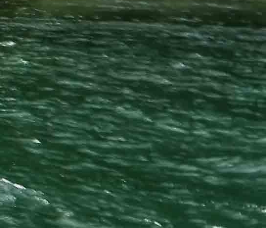 粉象生活返佣是真的吗