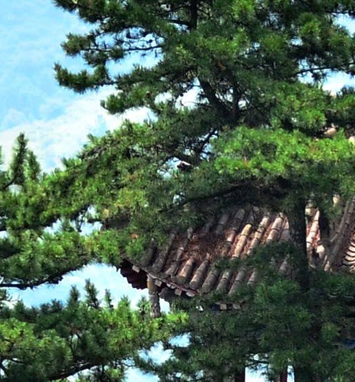 粉象生活需要升级会员吗