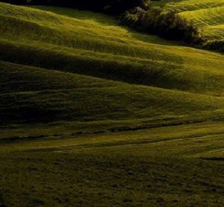 深粉象属于什么类型的啤酒