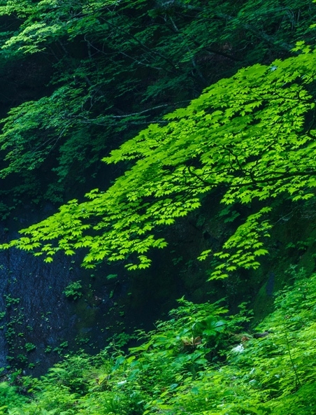 粉象生活开通会员有什么用