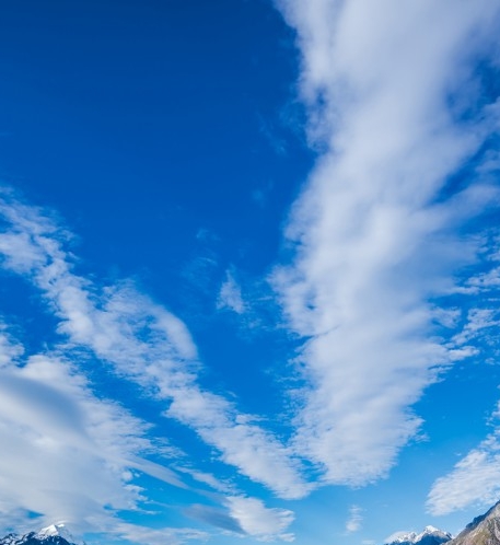 粉象生活公司简介粉象生活