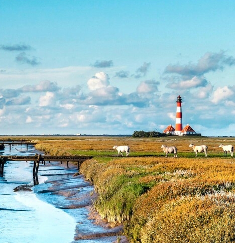 粉象生活邀请码