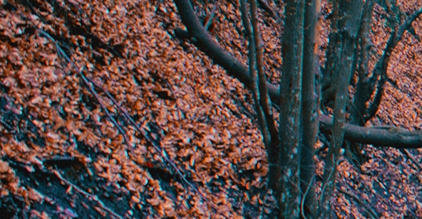 粉象生活推广文章