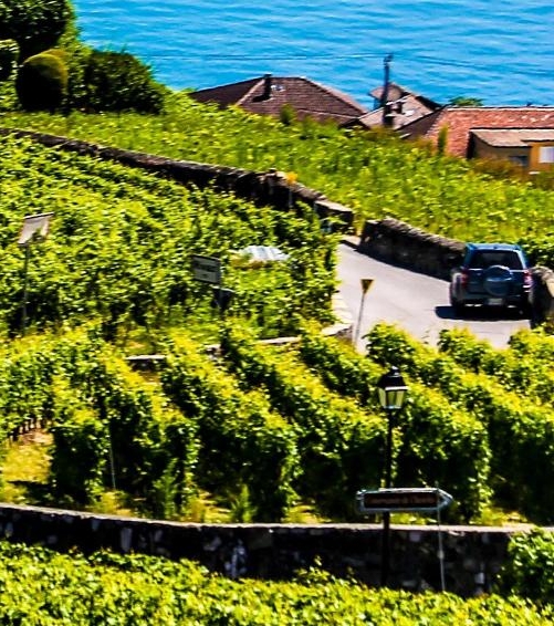 粉象生活招聘技巧