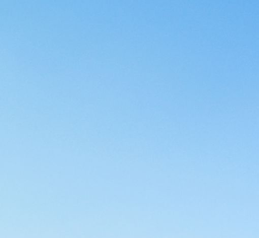 广州粉象生活电话