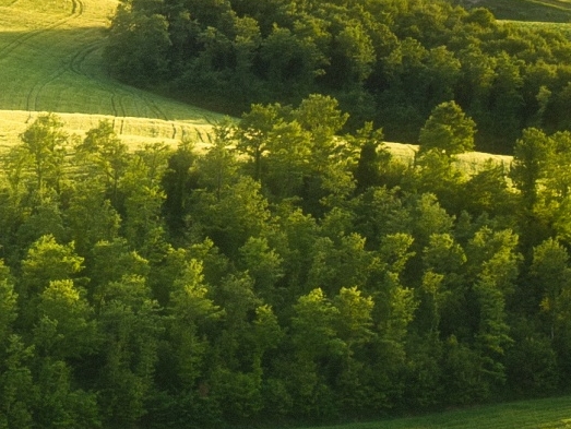 粉象生活安全不