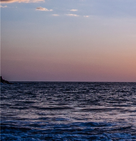 粉象生活招商经理