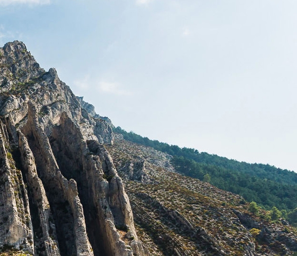 粉象生活正规合法吗