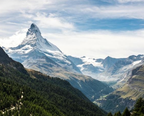 粉象生活到底是干嘛的