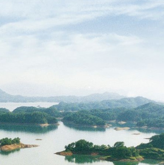 广州粉象生活合伙人