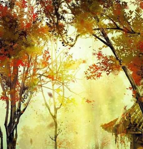 粉象生活到底能不能做