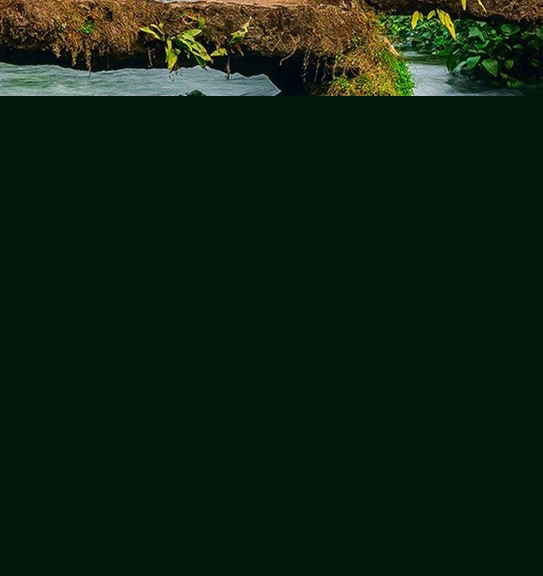 粉象生活第一市场有没有返佣