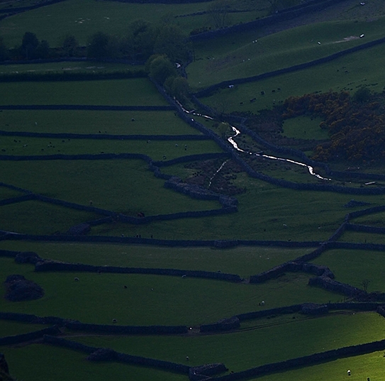 安庆e网生活招聘