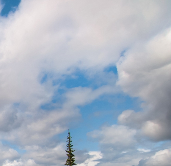粉象生活分享后怎么没有佣金