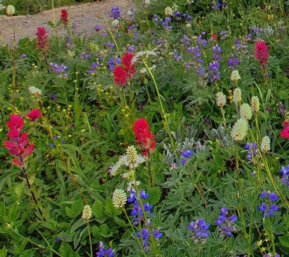 粉象生活实名认证安全吗