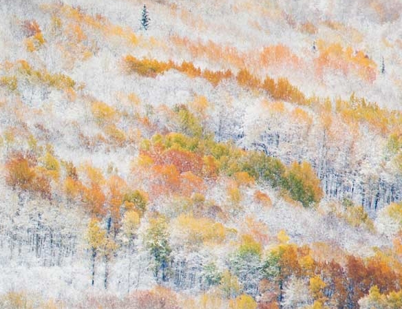 粉象生活交钱太坑人